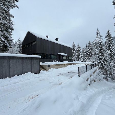 Chalet Dachstein Ramsau am Dachstein Bagian luar foto
