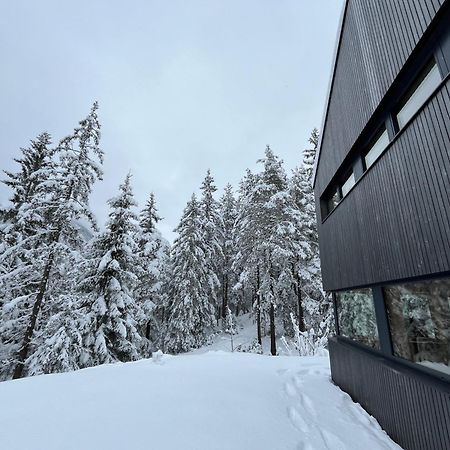 Chalet Dachstein Ramsau am Dachstein Bagian luar foto